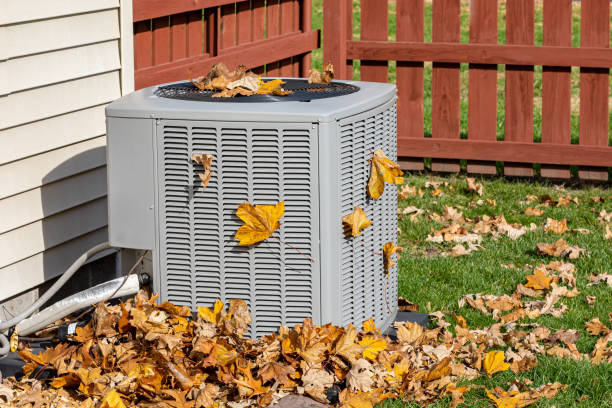 Best HVAC Air Duct Cleaning  in Fanning Springs, FL